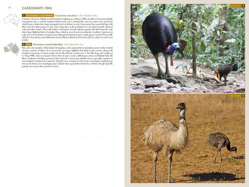 Birds of Australia, A photographic guide - Campbell, S. 2014